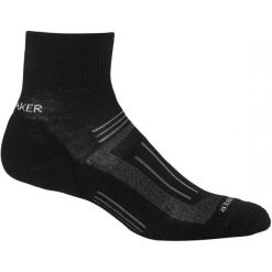 Skarpetki męskie: Icebreaker Skarpetki Trekkingowe Mens Hike Light Mini Black/Monsoon L