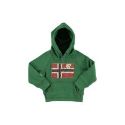 Bluzy niemowlęce: NAPAPIJRI Bluza z kapturem GUNDIK hope