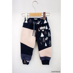 Spodnie chłopięce: PATCH PANTS spodnie 104 – 152 cm Jelonki