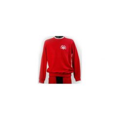 Bluza ratownicza odblaskowa FUNKCYJNA męska czerwona S. Czerwone bluzy męskie Ratujesz, na zimę, s, z nadrukiem, z bawełny, klasyczne, z podwójnym kołnierzykiem, bez rękawów, długie, bez kaptura. Za 84,99 zł.