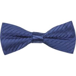 Muchy męskie: CK Calvin Klein BOW TIE Mucha blue