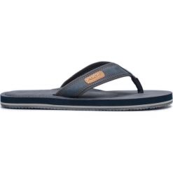 Aldo Diara Japonki Niebieski. Niebieskie klapki męskie ALDO, w paski, z materiału. Za 154,95 zł.
