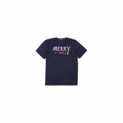 T-shirt krótki rękaw męski z printem. Szare t-shirty męskie z nadrukiem marki TXM, z dresówki. Za 14,99 zł.