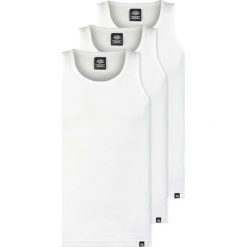 T-shirty męskie: Dickies 3 PACK Top white