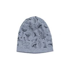Czapka dziecięca Leśne runo jasna szara (cz18431). Szare czapeczki niemowlęce Art of Polo. Za 31,25 zł.