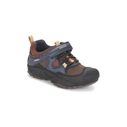 Buty Dziecko Geox J NEW SAVAGE BOY B A. Brązowe trampki chłopięce marki Geox. Za 299,00 zł.