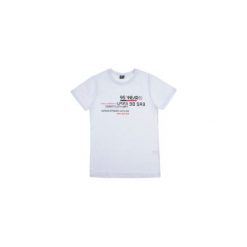 T-shirt krótki rękaw męski z nadrukiem. Szare t-shirty męskie z nadrukiem marki TXM, m. Za 9,99 zł.