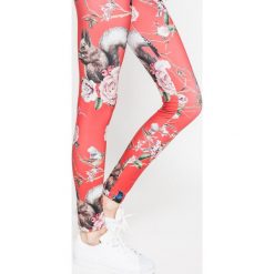 Femi Stories - Legginsy Muun. Szare legginsy damskie marki Femi Stories, l, z dzianiny. W wyprzedaży za 119,90 zł.