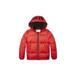 Kurtki pikowane Dziecko Calvin Klein Jeans IB0IB00249 ESSENTIAL PUFFER. Czerwone kurtki chłopięce Calvin Klein Jeans, bez wzorów, z jeansu, bez kaptura. Za 553,53 zł.
