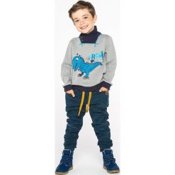 Lemon Explore - Bluza dziecięca 86-116 cm. Szare bluzy chłopięce LEMON explore, z nadrukiem, z bawełny, bez rękawów, bez kaptura. W wyprzedaży za 49,90 zł.
