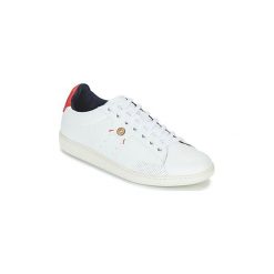 Buty Faguo HOSTA PU. Białe trampki męskie marki Faguo, bez wzorów, bez zapięcia. Za 329,00 zł.