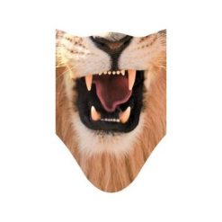 Maska snowboard/ski/bike hauer LION. Szaliki męskie Hauer, z materiału. Za 53,10 zł.