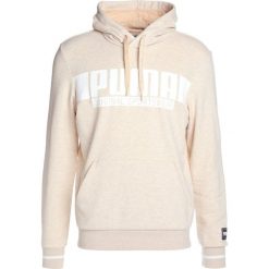 Bluzy męskie: Puma STYLE ATHLETICS HOODY Bluza z kapturem pebble heather