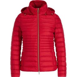 Kurtka puchowa Geox Jaysen W9425B T2562 F7176. Czerwone kurtki damskie Geox, bez wzorów, z puchu, bez kaptura. W wyprzedaży za 469,00 zł.