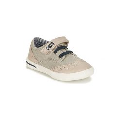 Buty Dziecko Chicco CAMPANELLO. Szare trampki chłopięce marki Chicco, bez wzorów, bez zapięcia. Za 159,20 zł.