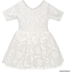 Teen Sukieneczka Tiulowa z Koronką Ivory Sky. Szare stroje dwuczęściowe dziewczęce marki Pakamera, w koronkowe wzory, z koronki, eleganckie. Za 599,00 zł.