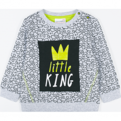 Koszulka. Szare t-shirty chłopięce LITTLE KING, z nadrukiem, z długim rękawem. Za 45,90 zł.