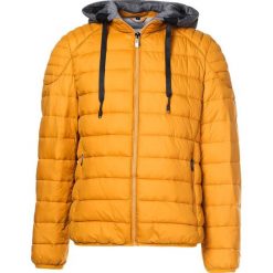 Żółta Kurtka Fyrvia. Żółte kurtki męskie Born2be, xl, bez wzorów, bez kaptura. Za 149,99 zł.