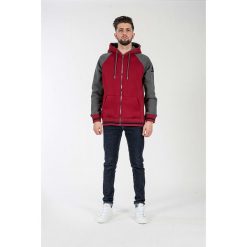 Bluza w kolorze czerwono-szarym. Szare bluzy męskie American College, xs, z aplikacjami, z materiału, z kapturem, bez rękawów, bez kaptura. W wyprzedaży za 132,95 zł.