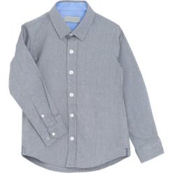 Szara Koszula Cordial. Szare koszule chłopięce marki Born2be. Za 59,99 zł.