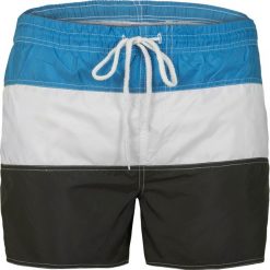 Krótkie spodenki męskie w paski Recea. Spodenki i szorty męskie Recea, xxl, w paski, krótkie. Za 29,99 zł.
