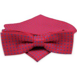 Czerwona Męska Mucha - ALTIES - z Taką Samą Poszetką, w Drobny Chabrowy Wzór MUALTStania0320. Niebieskie muszki męskie Alties, na imprezę, w paski, eleganckie. W wyprzedaży za 29,00 zł.