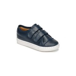 Buty Dziecko Citrouille et Compagnie INACUFI. Niebieskie trampki chłopięce Citrouille et Compagnie. Za 149,30 zł.