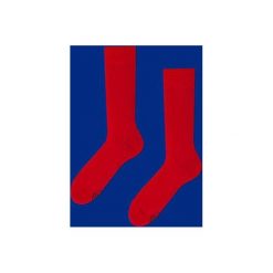Skarpetki męskie: Skarpetki True Blue