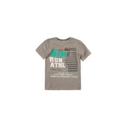 T-shirty chłopięce: t-shirt chłopięcy gładki, z printem