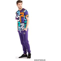 Reticulum Creators T-shirt (Colour). Szare t-shirty męskie Pakamera, m, z nadrukiem, z bawełny, bez kołnierzyka. Za 149,00 zł.