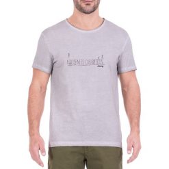 T-shirty męskie: T-shirt w kolorze szarym