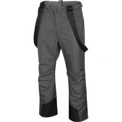 4F Spodnie Szary. Szare spodnie męskie 4f, l, z poliesteru. Za 274,95 zł.