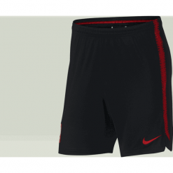 Spodenki i szorty męskie: Spodenki Nike Polska WC 2018 Dry Squad (893528-010)