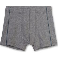 Bokserki w kolorze szarym. Szare bielizna chłopięca Sanetta, bez wzorów, z bawełny. W wyprzedaży za 22,95 zł.