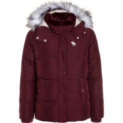 Abercrombie & Fitch COZY PUFFER Kurtka zimowa burg. Czerwone kurtki chłopięce marki Abercrombie & Fitch, na zimę, z poliesteru. Za 409,00 zł.