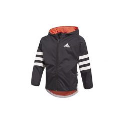 Kurtki chłopięce: kurtki lekkie Dziecko adidas Wiatrówka Disney The Mouse