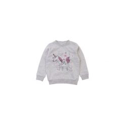 Bluza sportowa z printem ze ściągaczami, nierozpinana. Szare bluzy niemowlęce TXM, bez wzorów, sportowe, bez rękawów, bez kaptura. Za 19,99 zł.