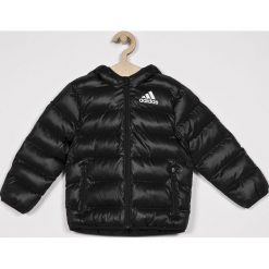 Adidas Performance - Kurtka dziecięca 116-176 cm. Czarne kurtki chłopięce marki adidas Performance, bez wzorów, z poliesteru, krótkie, z kapturem. W wyprzedaży za 219,90 zł.