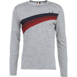 Koszulki sportowe męskie: Icebreaker OASIS ASCENT STRIPE Koszulka sportowa grey