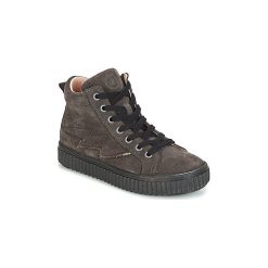 Buty Dziecko Acebo's LONDON. Szare trampki dziewczęce marki Acebo's, bez wzorów, bez zapięcia. Za 319,20 zł.