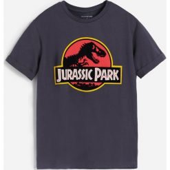 Bawełniany t-shirt Jurassic Park - Czarny. Czarne t-shirty męskie Reserved, bez wzorów, z bawełny, bez kołnierzyka. Za 39,99 zł.