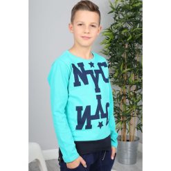 Turkusowa Bluza Dziecięca NDZ9023. Niebieskie bluzy chłopięce marki Fasardi. Za 39,00 zł.