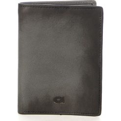 Portfel skórzany DAAG Alive P-01 vintage szary w pudełku - Szary. Szare portfele męskie daag, bez wzorów, ze skóry. Za 134,99 zł.