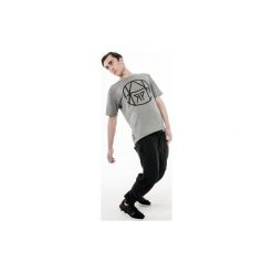 T-shirty męskie: T-SHIRT CIRCLE GRAY
