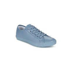 Trampki męskie: Buty Paul Joe SUNDAY