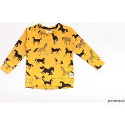 Bluzy chłopięce: Bluza Mustard Horses