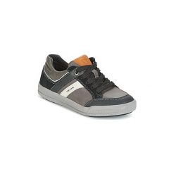 Buty Dziecko Geox J ARZACH B. I. Szare trampki chłopięce Geox. Za 239,20 zł.