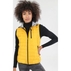 Żółta Kamizelka Usinynore. Żółte kamizelki damskie Born2be, xl, bez wzorów, bez kaptura. Za 79,99 zł.