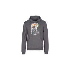 Bluzy Billabong ROGUE PO. Szare bluzy męskie Billabong, xxl, bez wzorów, bez kołnierzyka, bez rękawów, bez kaptura. Za 202,30 zł.
