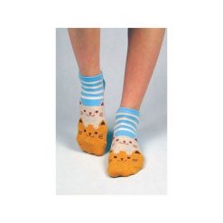 Skarpetki z kotami (w paseczki niebieskie). Niebieskie skarpetki damskie marki Candysox.pl. Za 30,00 zł.